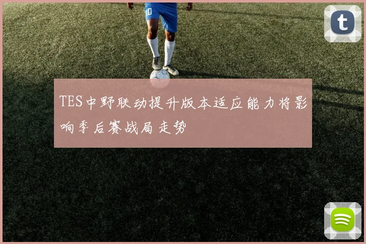 TES中野联动提升版本适应能力将影响季后赛战局走势