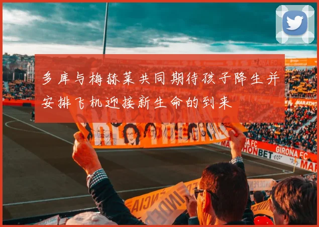多库与梅赫莱共同期待孩子降生并安排飞机迎接新生命的到来